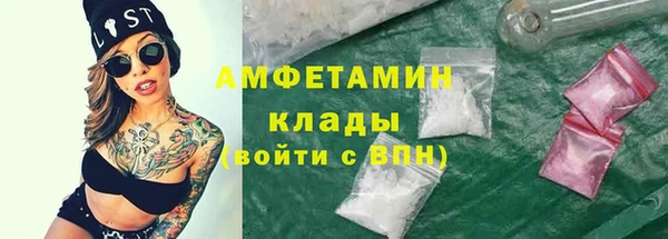 сатива Баксан