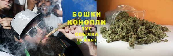 сатива Баксан