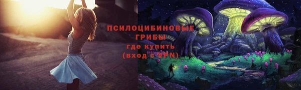 ГАЛЛЮЦИНОГЕННЫЕ ГРИБЫ Балахна