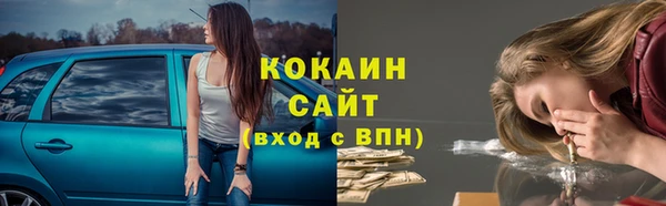 сатива Баксан