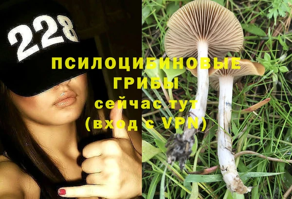 ГАЛЛЮЦИНОГЕННЫЕ ГРИБЫ Балахна