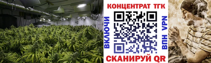 shop как зайти  Разумное  ТГК жижа  купить  